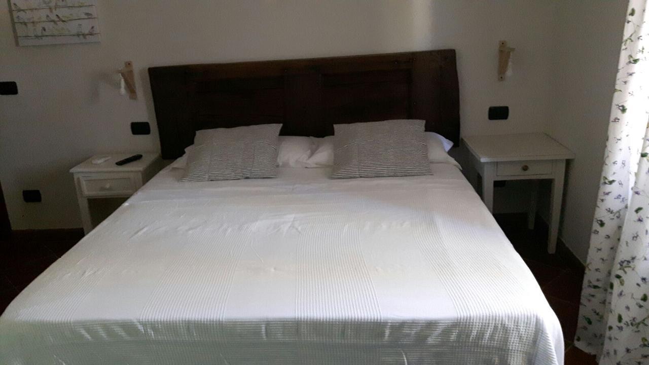 B&B Ocagiuliva Riparbella Ngoại thất bức ảnh