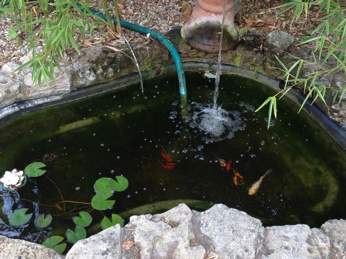 B&B Ocagiuliva Riparbella Ngoại thất bức ảnh